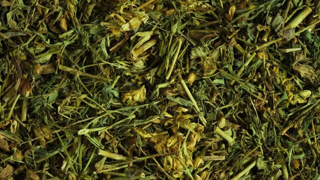 Common St. John's-wort dried plant (Hypericum perforatum) has long been used in traditional medicine as an extract to treat depression. Natural antidepressant, alternative medicine.