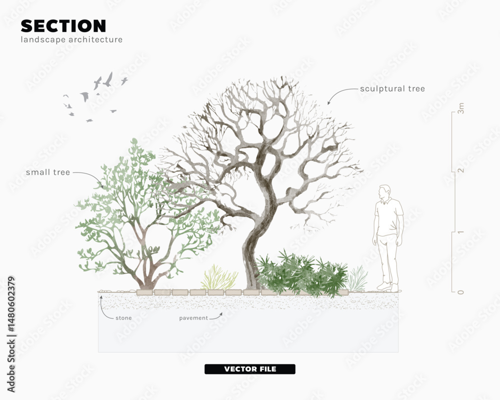 Poster architectural drawings, minimal style cad tree line drawing, side view, set of section garden, wetla