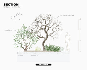Plakat Architectural Drawings, Minimal style cad tree line drawing, Side view, set of section garden, wetland forest outline for landscape design drawing. Vector illustration in separate element