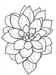 Fototapeta premium Lush Succulent Garden Line Art