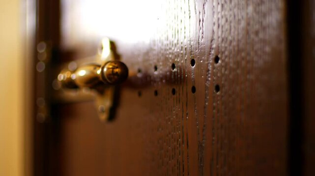 Vintage Door Detail With Brass Handle And Row Of Pinholes