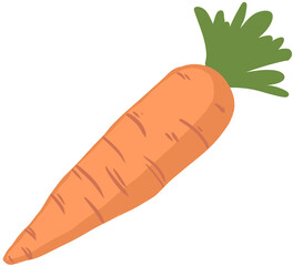 carrot vector illustration