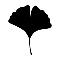 Silhouette of a Ginkgo Biloba Leaf, isolated on a white background