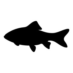 Black silhouette of a freshwater fish swimming in a white background