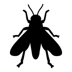 Black Silhouette of a Fly with Wings and Antennae on White Background