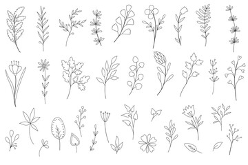 Hand drawn wedding herb, plant and monogram with elegant leaves for invitation save the date card design