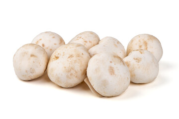 White champignons mushrooms, isolated on white background.