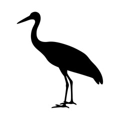 Striking Silhouette of a Graceful Crane Bird Standing Tall and Proud