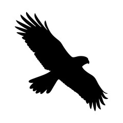 Silhouette of a majestic eagle soaring through the sky with powerful wings