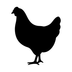 Black Chicken Silhouette Isolated on White Background, Farm Animal Illustration