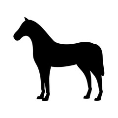 Silhouette of a Standing Horse with Smooth Lines and Clean Cut Design