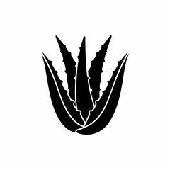 Fototapeta premium creative details Outline silhouette Aloe vera icon vector illustration 