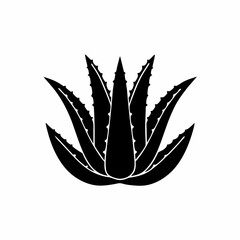 creative details Outline silhouette Aloe vera icon vector illustration 