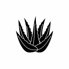 creative details Outline silhouette Aloe vera icon vector illustration 