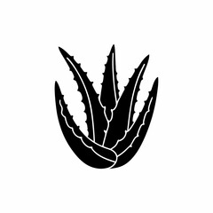 creative details Outline silhouette Aloe vera icon vector illustration 