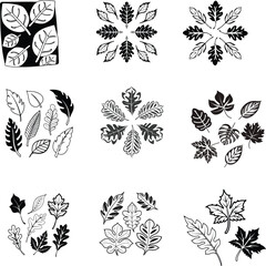A premium set of leaf floral design elements