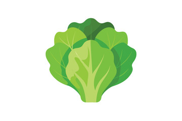 fresh spinach isolated on white