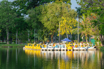 Many of paddle boats in a pond in a central public park on the capital to provide a service for people to do boating activities for relaxation on holidays or after work