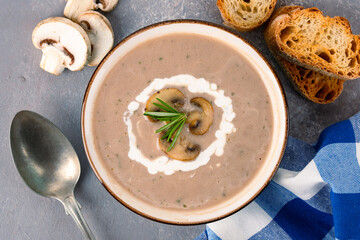 Delicious and healthy mushroom soup on stone background