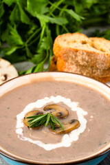 Delicious and healthy mushroom soup on stone background