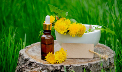 Essential oil or extract of dandelion on a wooden stump. Nature © Anna