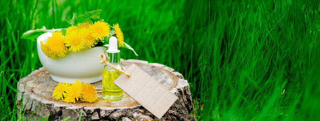 Essential oil or extract of dandelion on a wooden stump. Nature © Anna
