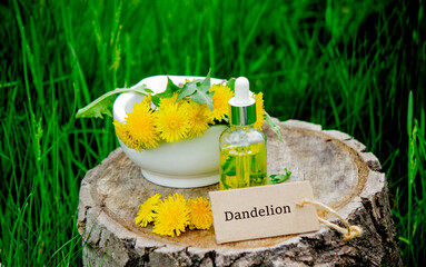 Essential oil or extract of dandelion on a wooden stump. Nature © Anna