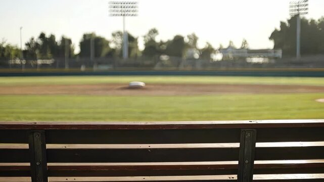 view from dugout on baseball field, park trees and stadium lights background during sunny day