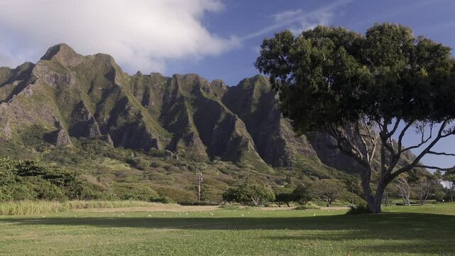Hawaii nature: mountains, clouds and tree on the background