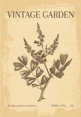 Vintage Botanical Garden poster vector illustration wall art print floral art print 
