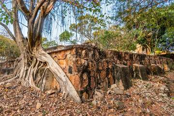 Ancient tree roots,at Phnom Kraom temple ruins,near to Tonle Sap lake and Siem Reap,Cambodia.