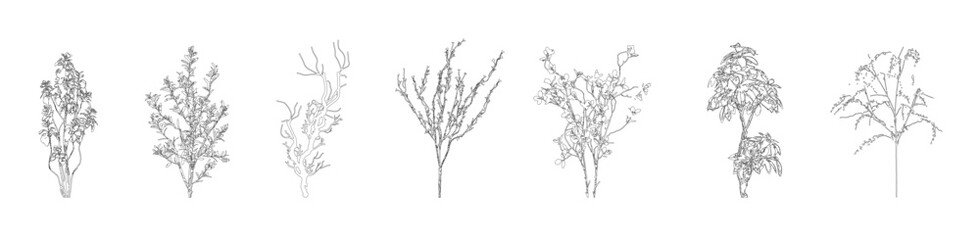 Architectural Drawings, Minimal style cad tree line drawing, Side view, set of graphics trees elements outline symbol for landscape design drawing. Vector illustration in stroke fill in white.