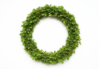 Green leaves wreath isolated on white background
