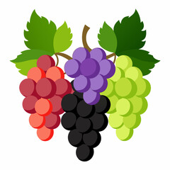 bunch of red grapes Vector icon illustration silhouette Graphics design image white background