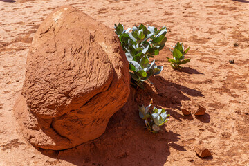 Rock Formation Within Monument Valley Arizona