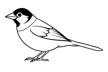 sparrow silhouette line art vector illustration with a white background
