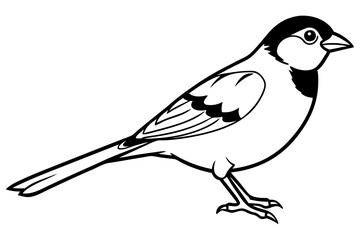 sparrow silhouette line art vector illustration with a white background