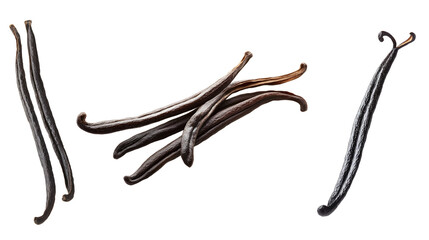 Set of vanilla beans isolate on transparent background.