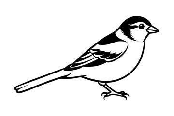 sparrow silhouette line art vector illustration with a white background