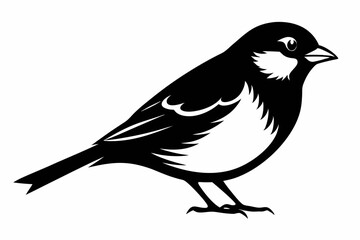 sparrow silhouette line art vector illustration with a white background