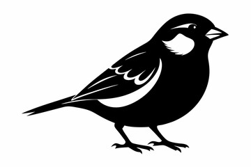 sparrow silhouette line art vector illustration with a white background