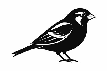 sparrow silhouette line art vector illustration with a white background