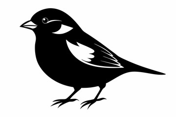 sparrow silhouette line art vector illustration with a white background