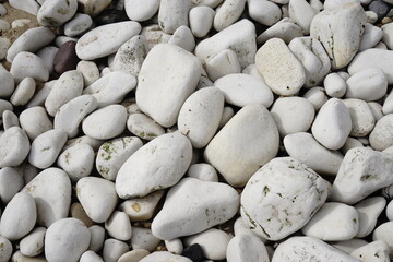 white pebbles on the beach