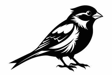 sparrow silhouette line art vector illustration with a white background