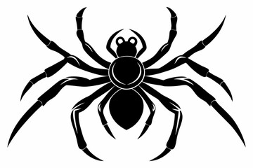 spider silhouette line art vector illustration with a white background