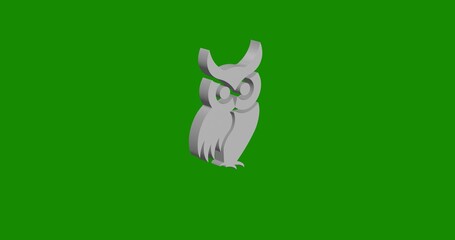Isolated realistic white owl symbol front view with shadow. 3d illustration on green chroma key background