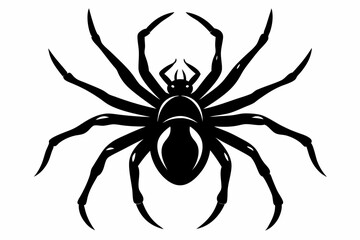 spider silhouette line art vector illustration with a white background