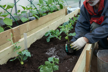 Fototapete bei efototapeten.de bestellen   