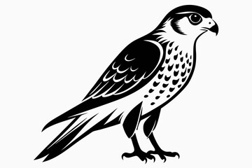 Obraz premium kestrel silhouette line art vector illustration with a white background